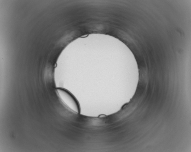 X0000113870287200910221341