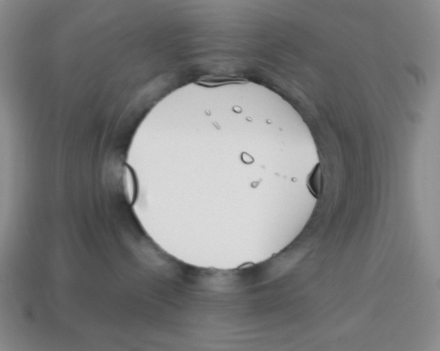 X0000113870288200910221341