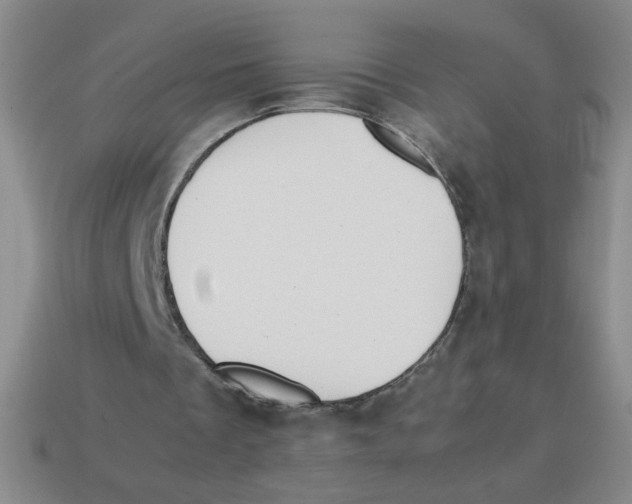 X0000113870289200910221341