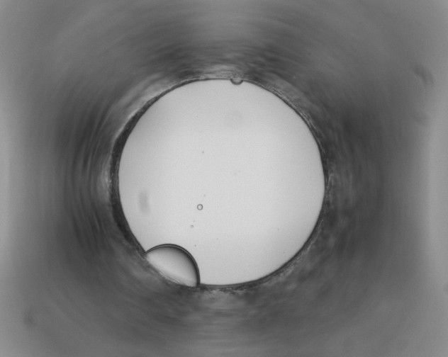 X0000113870290200910221341