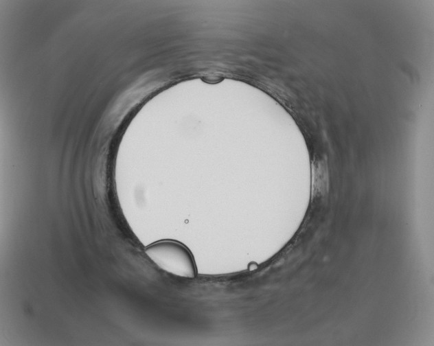 X0000113870291200910221341