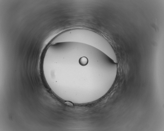 X0000113870292200910221341