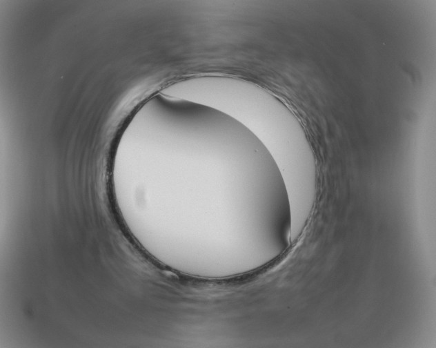 X0000113870293200910221341