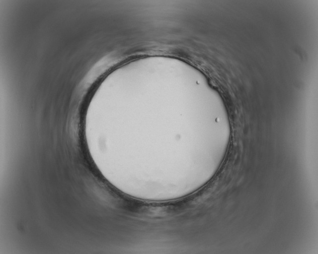 X0000113870295200910221341