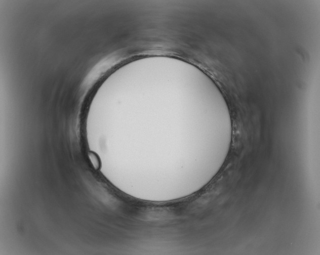 X0000113870296200910221341