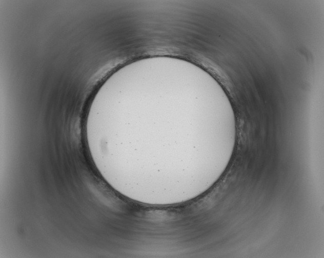 X0000113870298200910221341