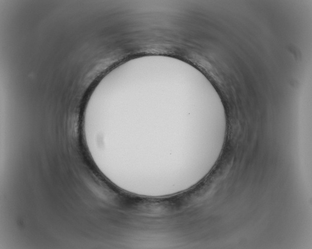 X0000113870299200910221341