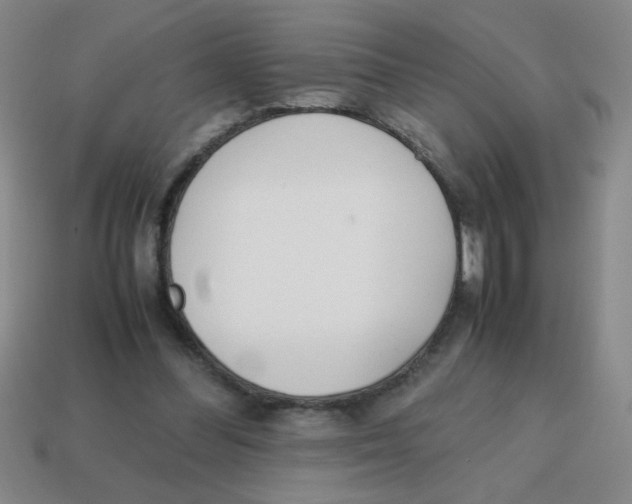 X0000113870300200910221341