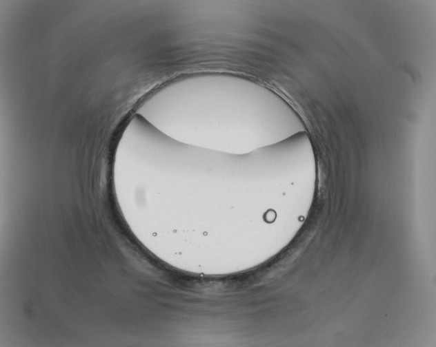 X0000113870301200910221340