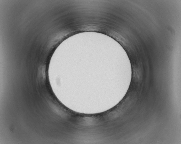 X0000113870302200910221340