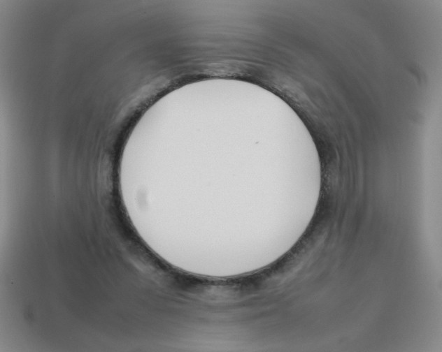 X0000113870303200910221340