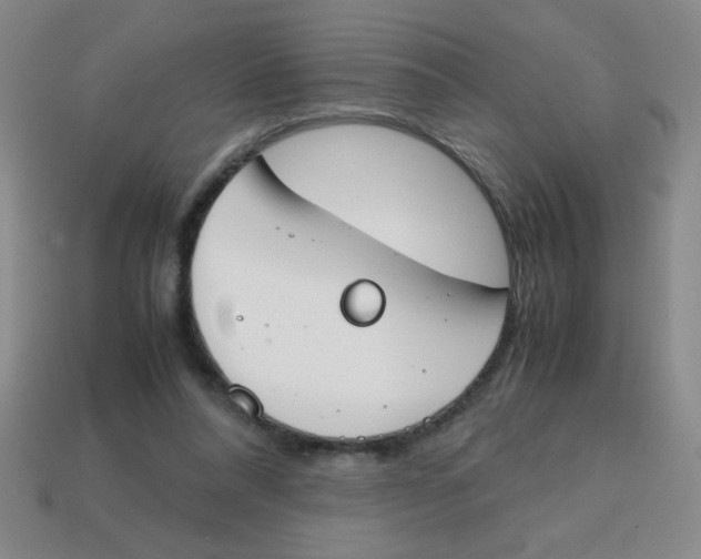 X0000113870304200910221340