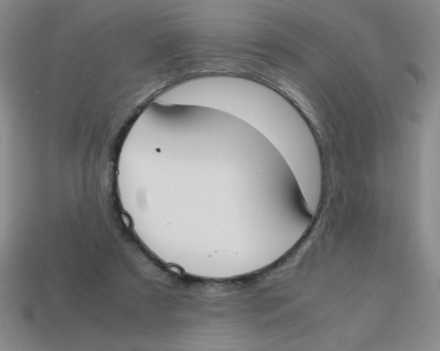 X0000113870305200910221340