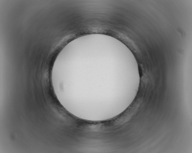 X0000113870306200910221340