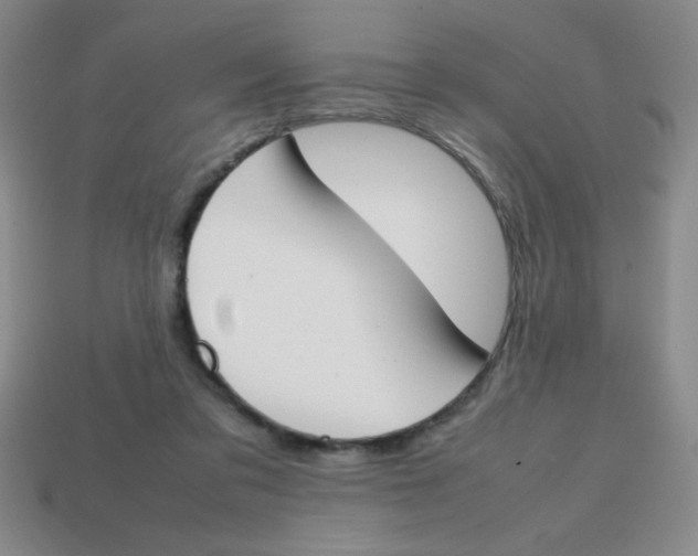 X0000113870309200910221340
