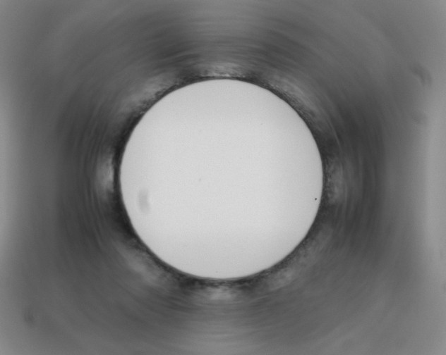 X0000113870310200910221340