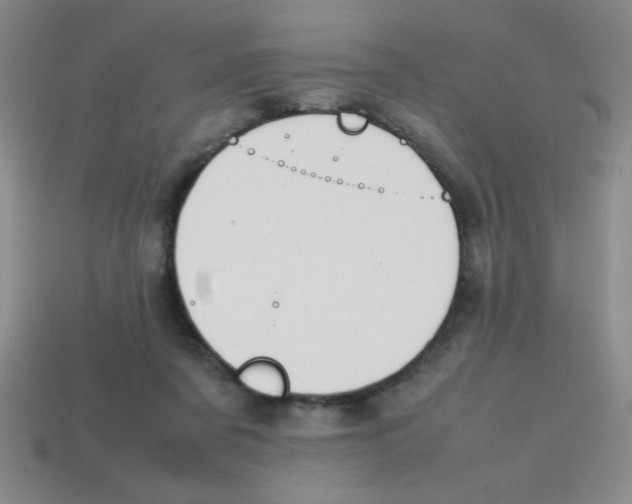 X0000113870311200910221340
