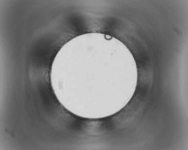 X0000113870313200910221340