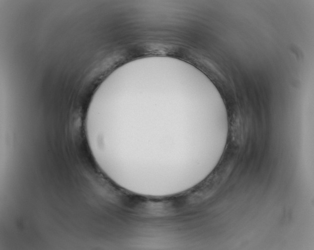 X0000113870314200910221340