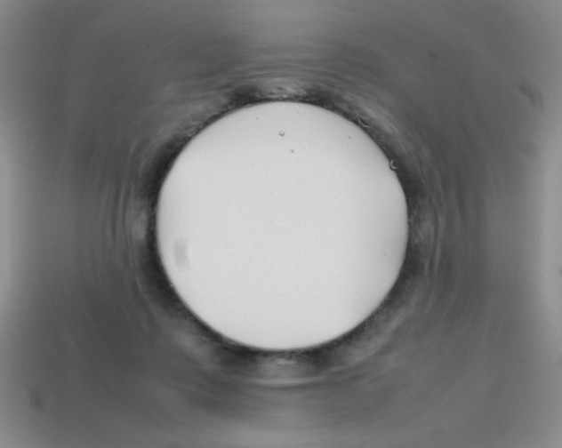 X0000113870315200910221340