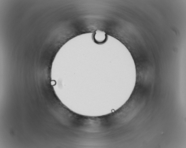 X0000113870317200910221340