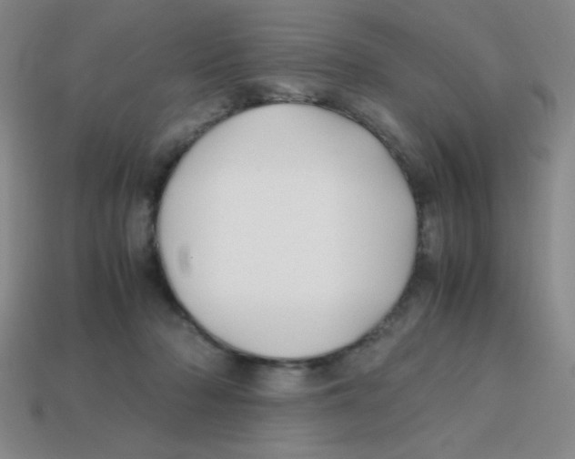X0000113870318200910221340