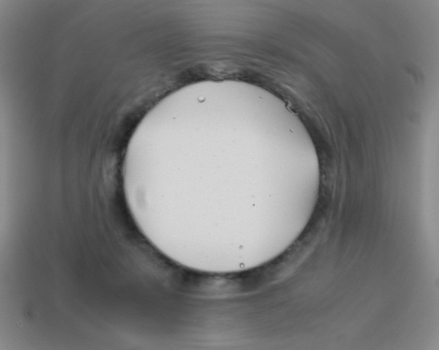 X0000113870319200910221340