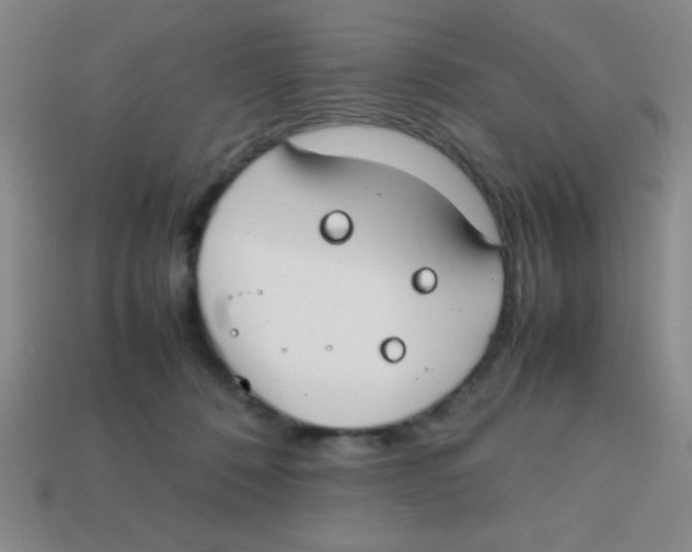 X0000113870320200910221340