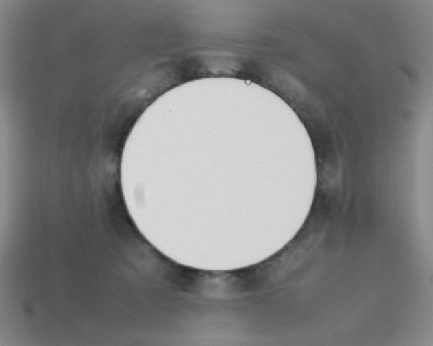 X0000113870321200910221340
