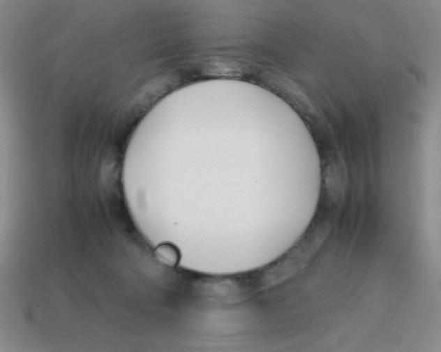 X0000113870322200910221340