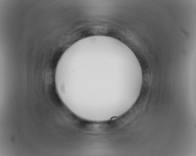 X0000113870323200910221340