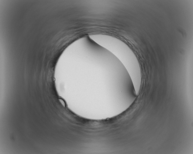 X0000113870325200910221340