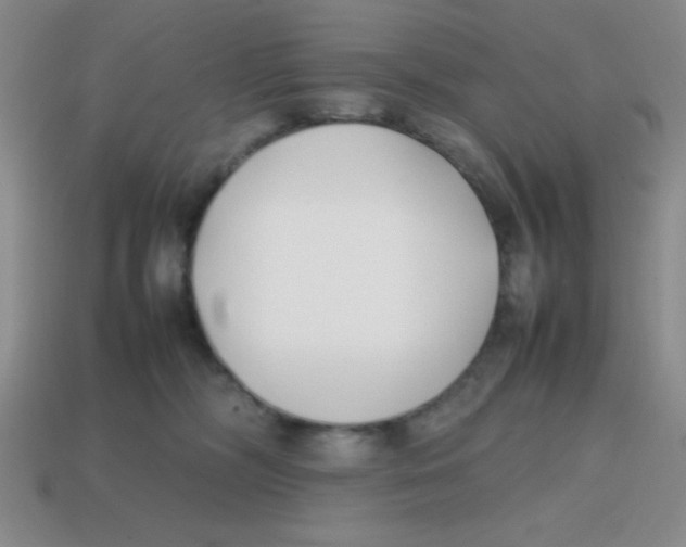 X0000113870326200910221340