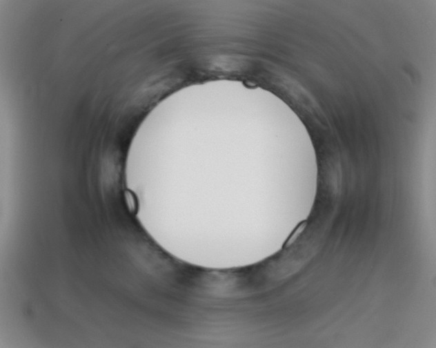 X0000113870328200910221340