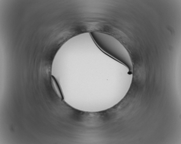 X0000113870329200910221340