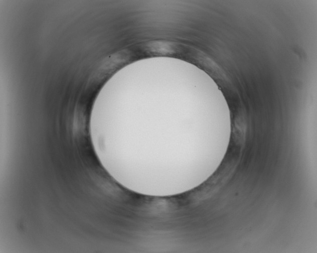 X0000113870330200910221340