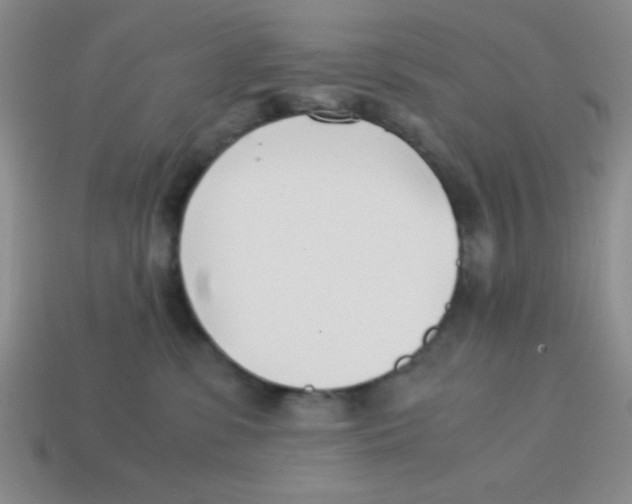 X0000113870331200910221340
