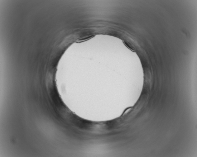 X0000113870333200910221340