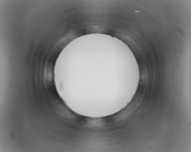 X0000113870334200910221340