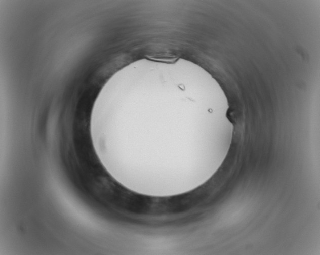 X0000113870335200910221340