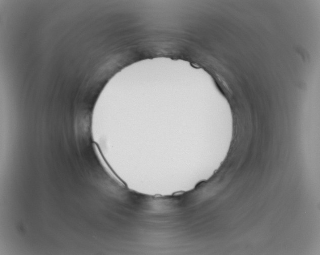 X0000113870336200910221340