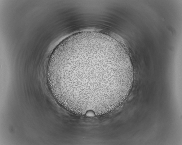 X0000113870337200910221339
