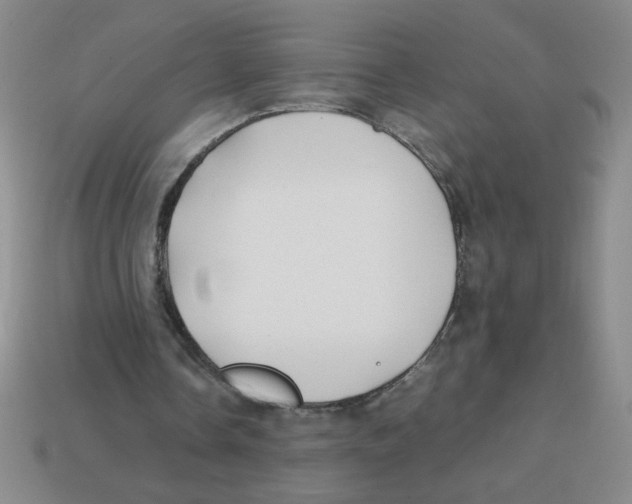 X0000113870338200910221339