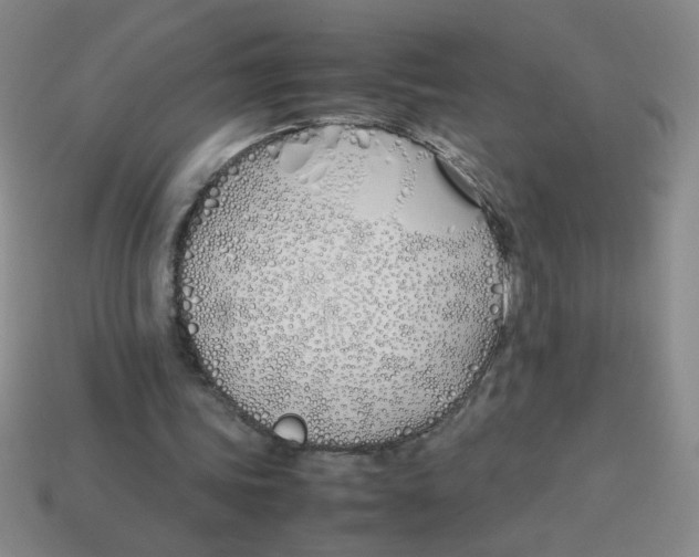 X0000113870339200910221339