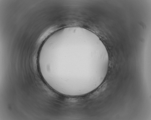 X0000113870341200910221339