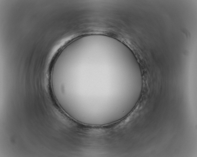 X0000113870342200910221339