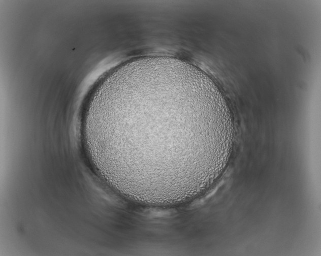 X0000113870343200910221339