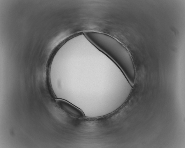 X0000113870344200910221339