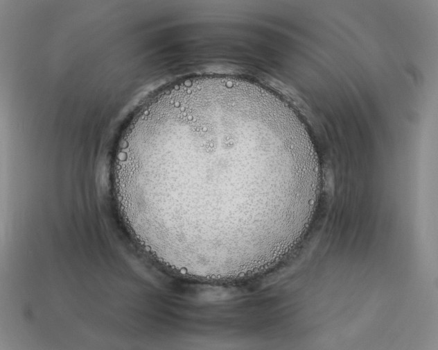 X0000113870347200910221339