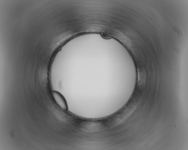 X0000113870348200910221339